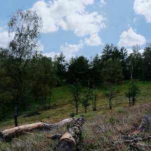  Wald Üfter Mark...... Jürgen Herborn